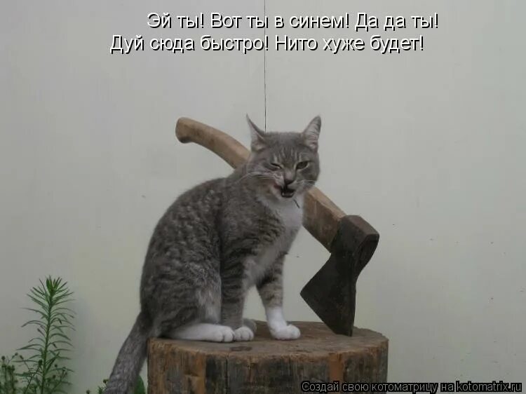 А почему ничего нет