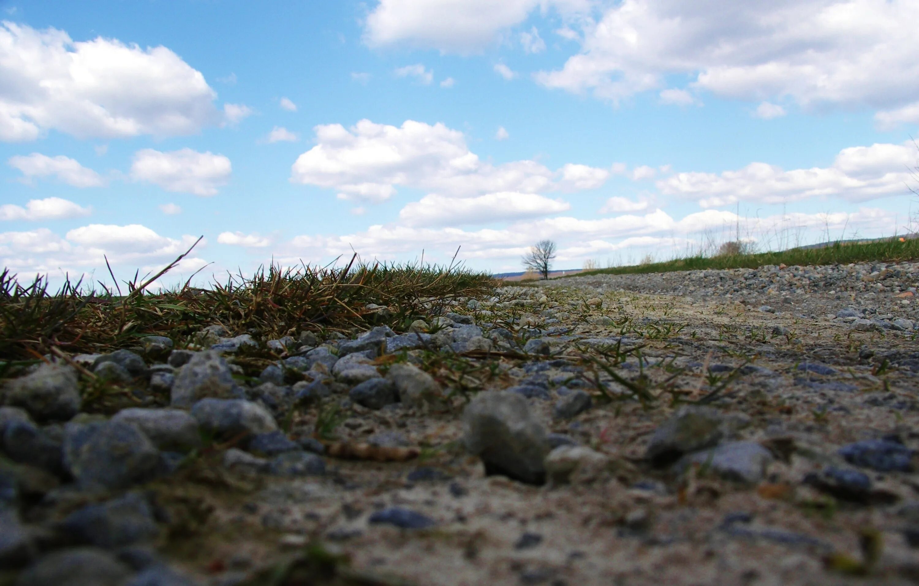 Ground