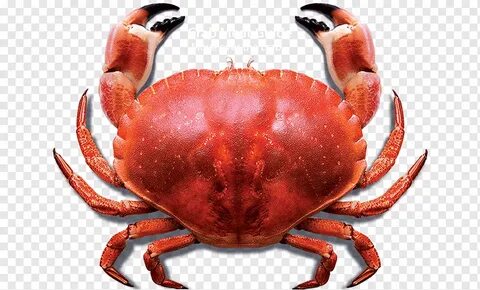 Прозрачный крабик