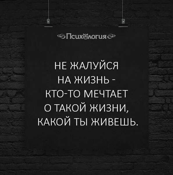 Постоянно жалуется на жизнь. Не жалуйся на жизнь цитаты. Никогда не жалуйся на жизнь. Не жалуйтесь на жизнь цитаты. Никогда не жалуйся на жизнь цитаты.