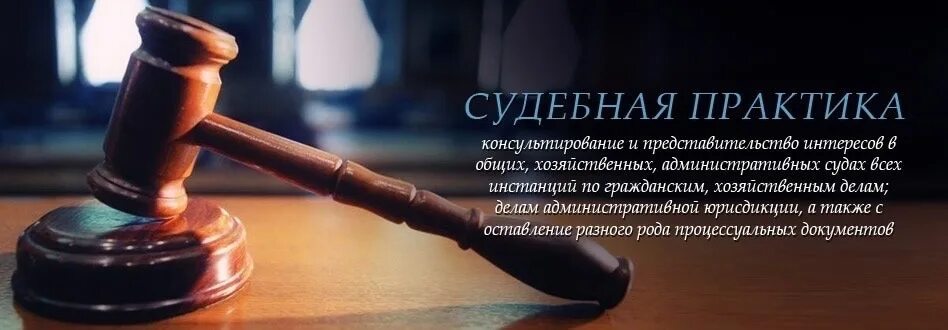 Ведение гражданских дел в суде. Судебная практика. Судебной практики. Представительство в судах общей юрисдикции. Обзор судебной практики.