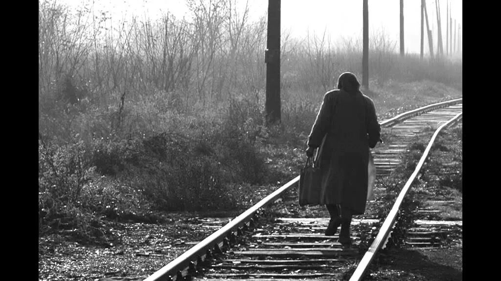 The most loneliest day. Lonely day. lonely nights scorpions. lonely day system of a down. the loneliest day of my life.