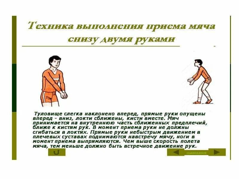 Техника выполнения приема мяча двумя руками снизу. Локтях, туловище слегка наклонено вперёд.