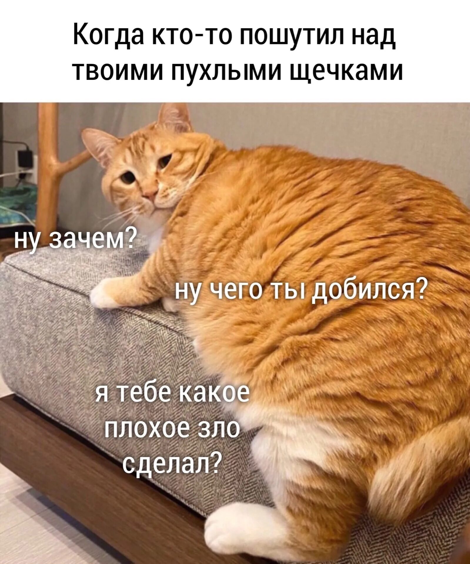 Худшее из зол 4. Худшее из зол 4. Какое зло я тебе сделал. Какое ззло я тебе сделал. Выбор меньшего из двух зол.