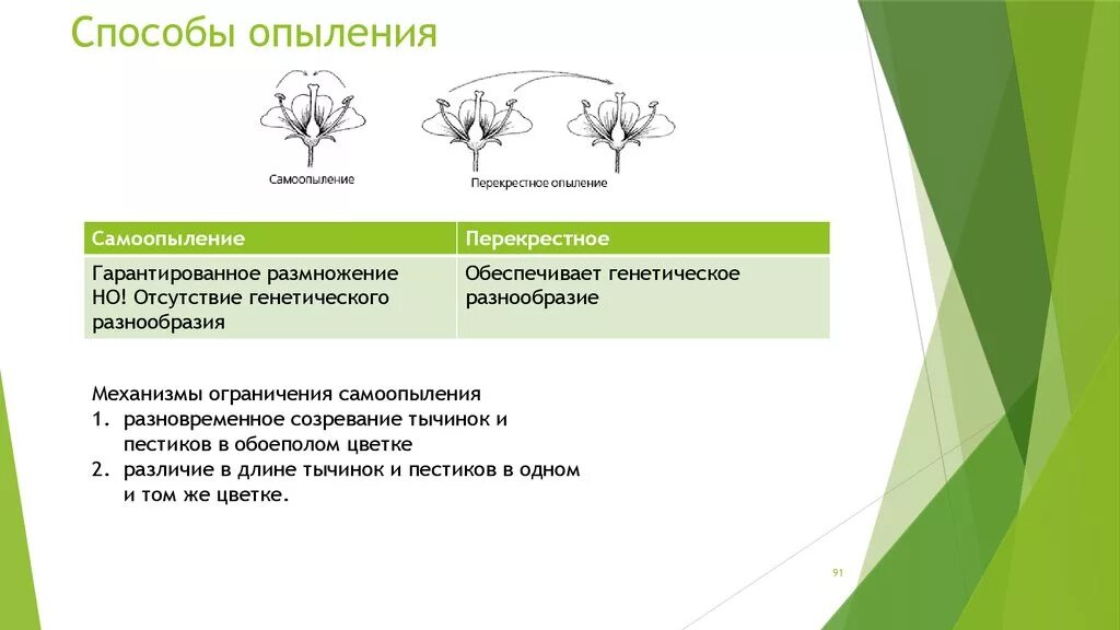 Какие способы опыления. Способы опыления. Способы перекрестного опыления. Способы перекрестного опыления таблица. Способы опыления растений.