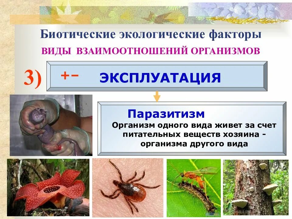 Влияние биотических факторов. Какие изменения биотических факторов. Влияние биотических факторов. Факторы окружающей среды. Окружающая среда факторы.