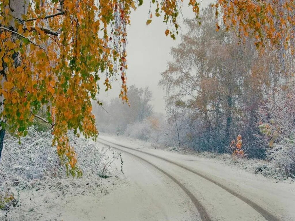 Первый снег утром картинки. Ранняя зима. Первый снег. Осень снег. Осень первый снег.