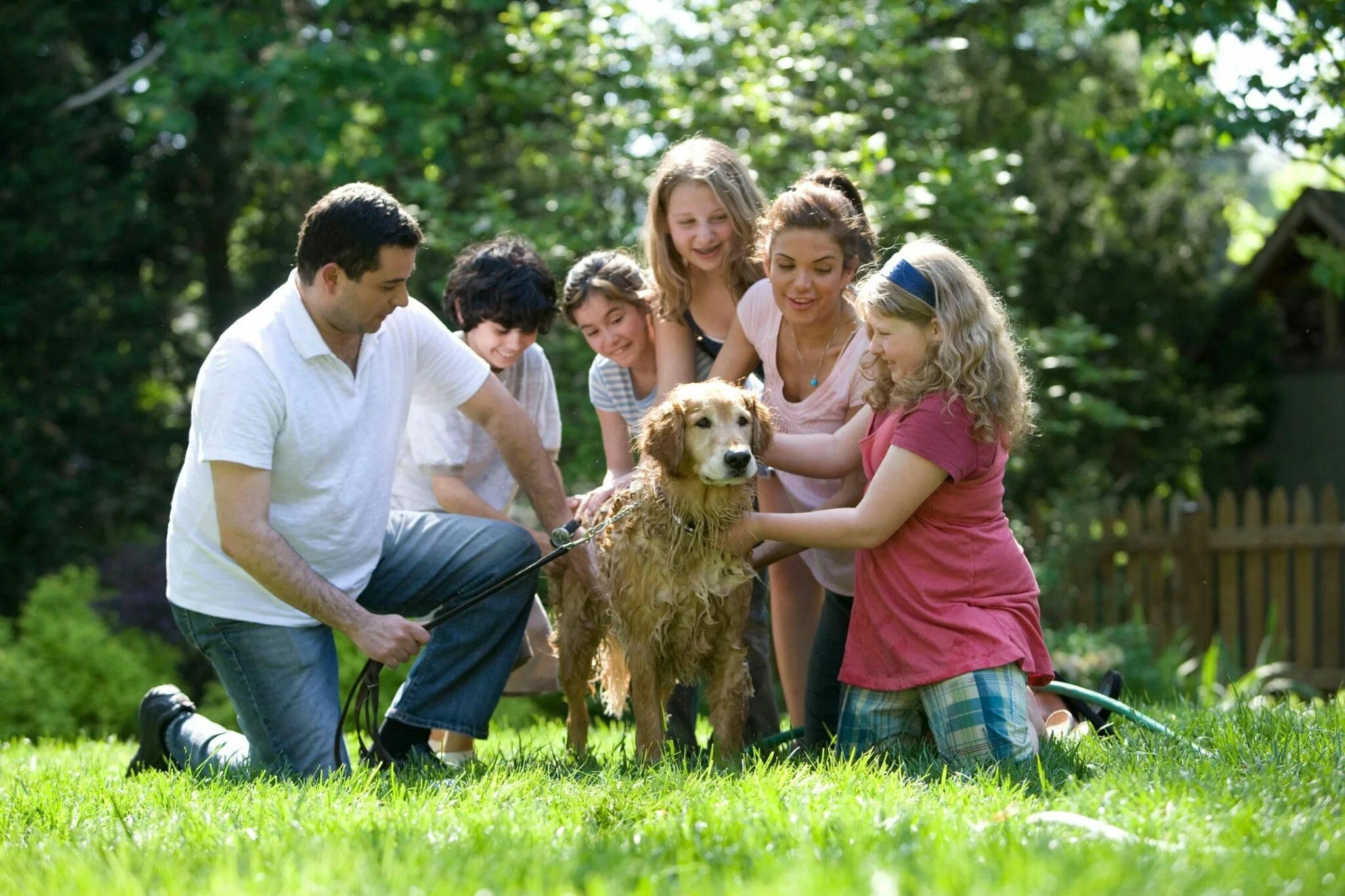 Your family a dog