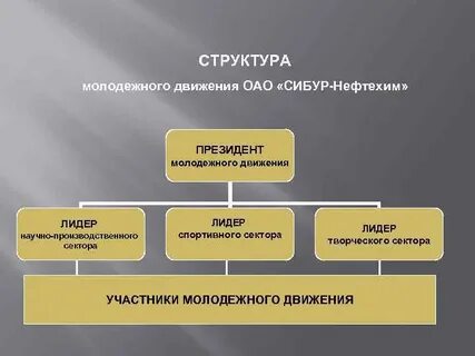 Структура молодежи