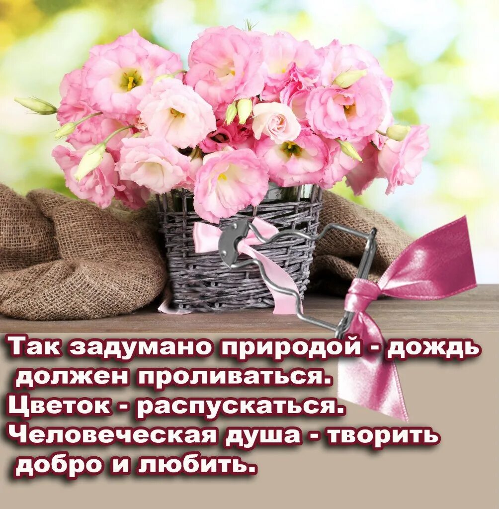 Все будет так как задумано. Так задумано природой.