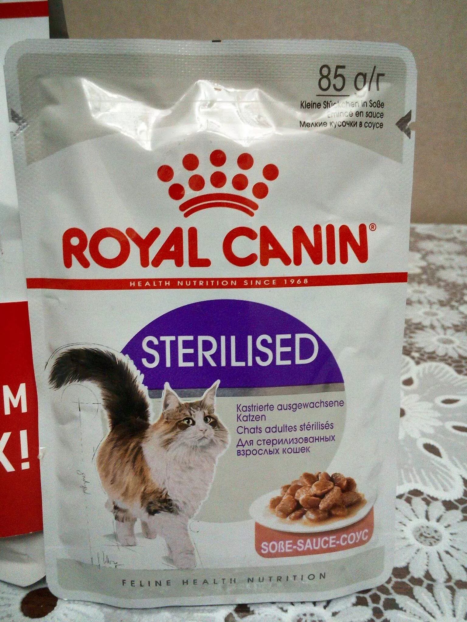 Роял Канин Sterilised 37. Royal Canin Sterilised 37 400. Royal Canin для кошек Sterilised. Royal Canin Sterilised 400г.