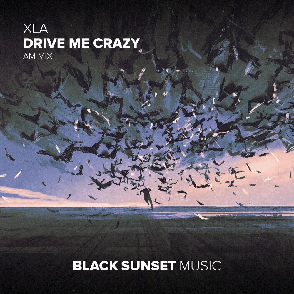 Drive me Crazy. Crazy i. Driving me Crazy Mix. Tim drove me Crazy. Перевод песни this love drives me crazy