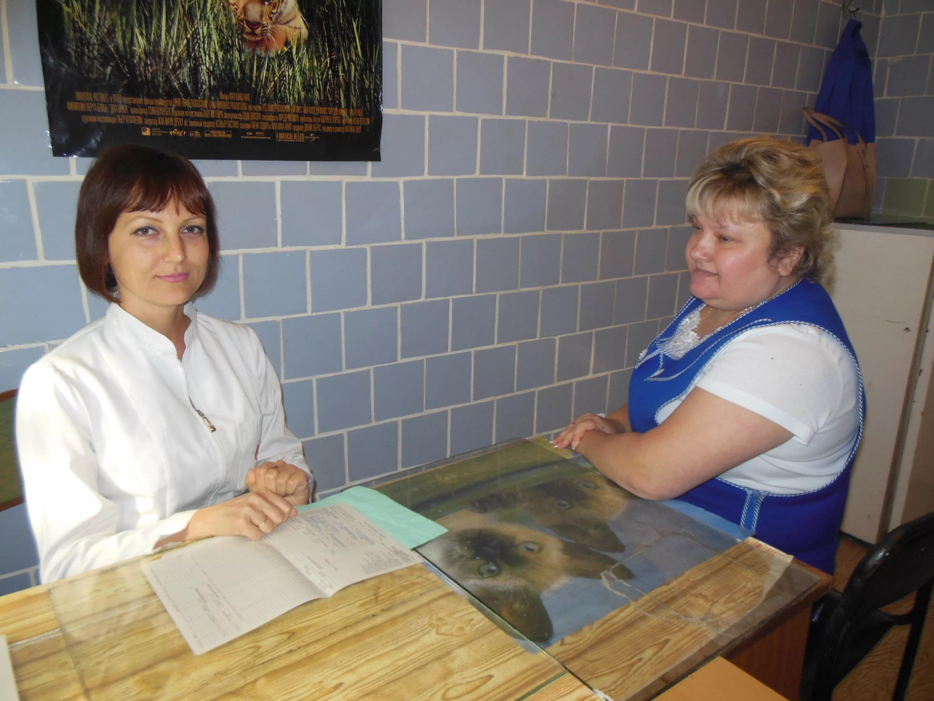 богородицкая центральная районная больница