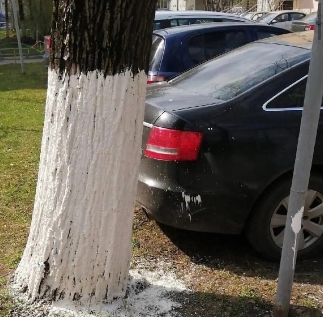 Скор для деревьев