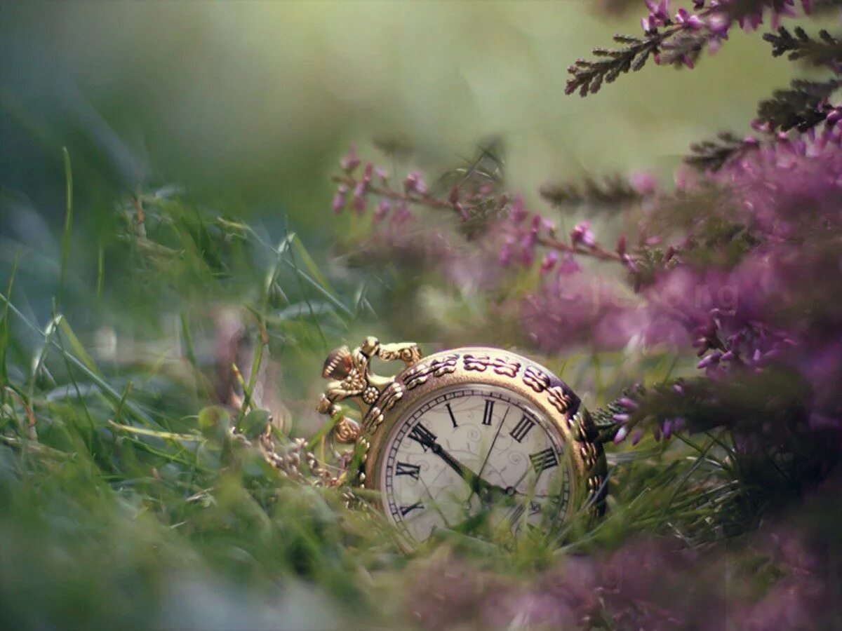 Бег времени. Картина бег времени. Часы мгновение. Время мчится. Время бежит.