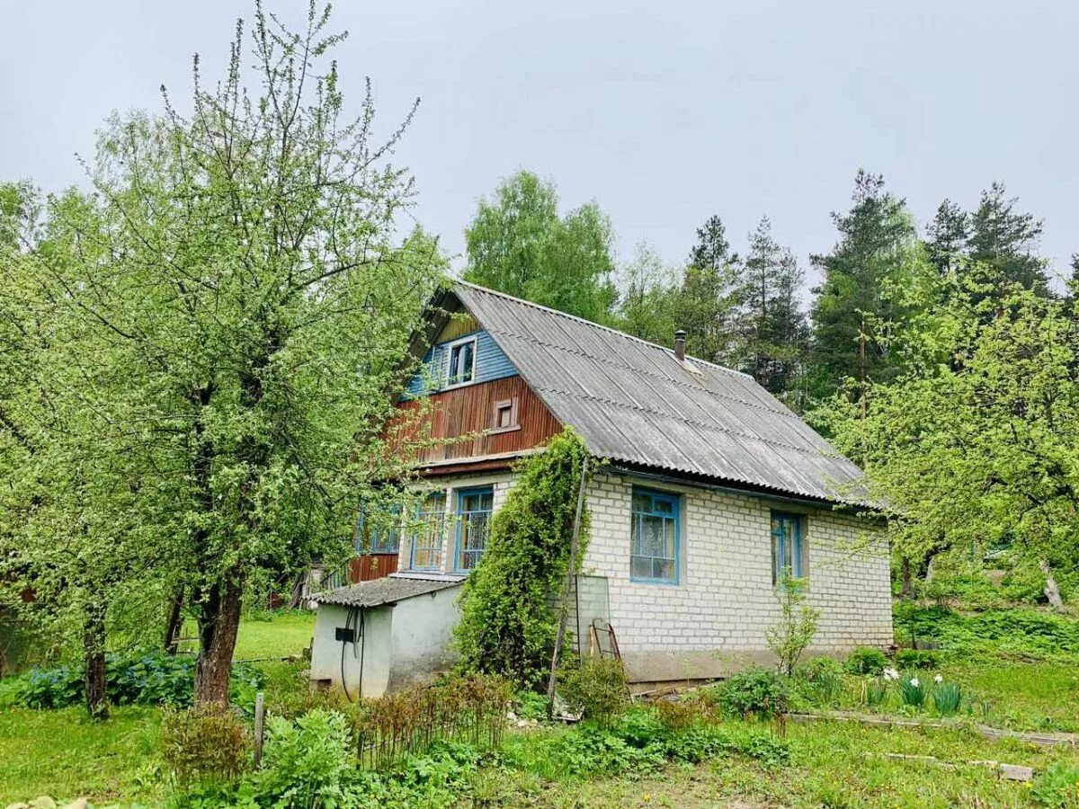 Дача Беларусь. Дачи под Минском. Дача в Бобруйске в Ясенево. Беларусь Минская область дачный 1.