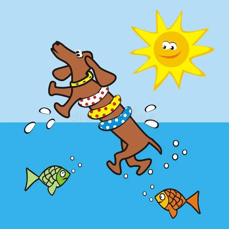 Учи рыбу плавать а собаку лаять. Собака плывет мультяшная. Собака плывет рисунок. Собака плавает иллюстрация. Собака плывет cartoon.