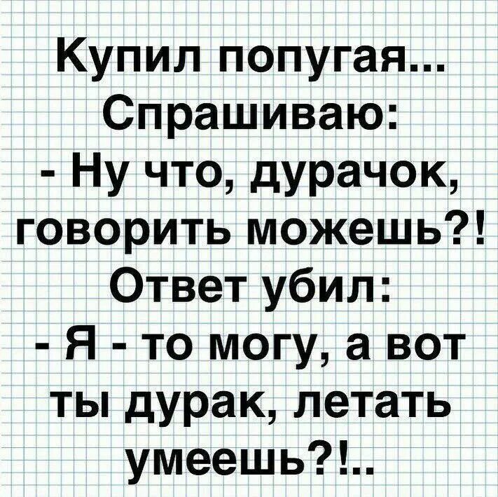 Говорю мужу ответ. Летать умеешь анекдот. Ну что дурачок умеешь говорить.