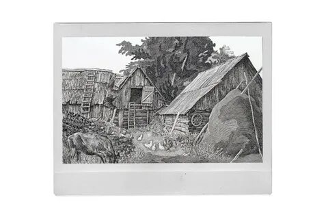 Графика уральская 10