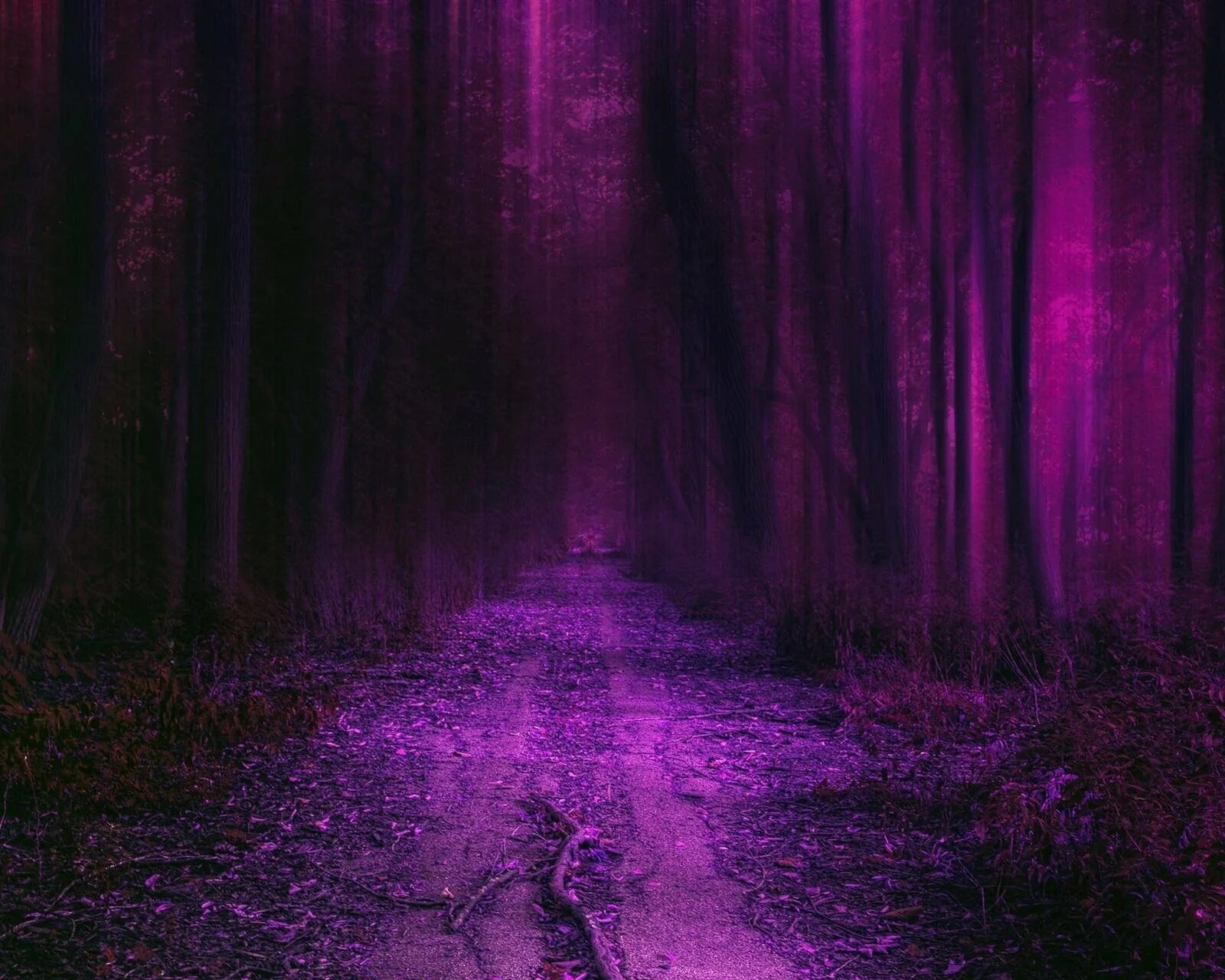Фиолетовый лес. Фиолетовые обои лес. Фиолетовые обои лес. Purple forest wallpaper. Фиолетовый лес.
