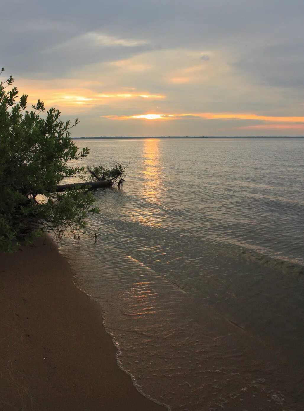 Погода милюшино рыбинский. Рыбинское море Милюшино. Милюшино Рыбинское водохранилище пляж. Деревня Милюшино Рыбинское водохранилище. Кременево Рыбинское водохранилище.