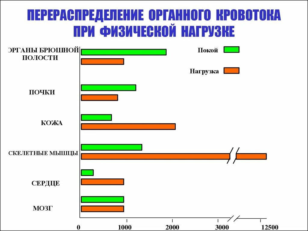 Физических нагрузок кровообращение. Регуляция гемодинамики при физической нагрузке. Перераспределение крови при мышечной работе. Перераспределение кровотока в организме при мышечной нагрузке. Изменения в системе крови при физических нагрузках.