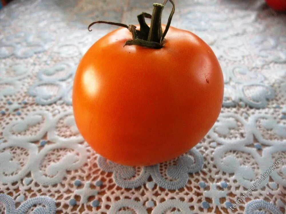 Сорт томата шоколадный пончик. Томат ред бьюти. Помидоры пончик. Томат сладкий пончик сибирский сад. Желтый сладкий томат.