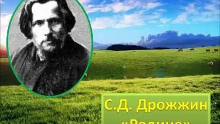 С Д Дрожжин родине. Родине стих дрожжин слушать