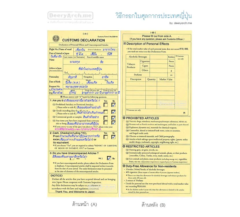 япония таможенная декларация. миграционная карта в корею. образец миграционная карта японии. таможенная декларация в японии. япония таможенная декларация.
