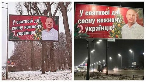 Каждому сосну