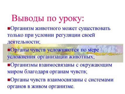 Органы чувств регуляция деятельности организма кратко
