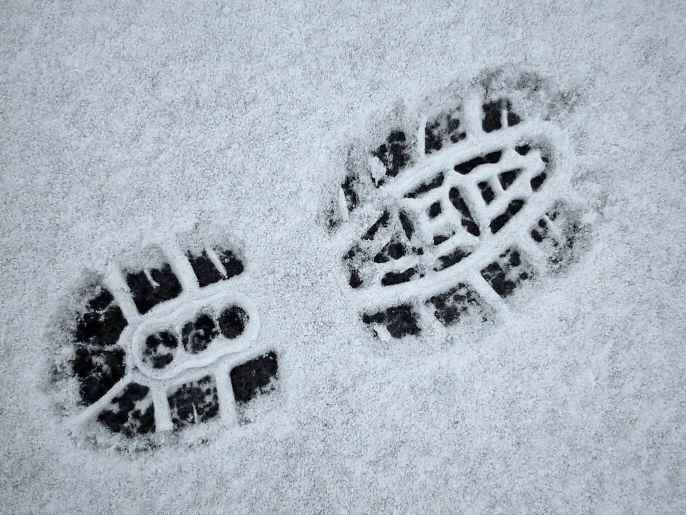 След нетленка. Отпечаток обуви на снегу. Следы на снегу. Следы обуви на снегу криминалистика. Следы сапог на снегу.