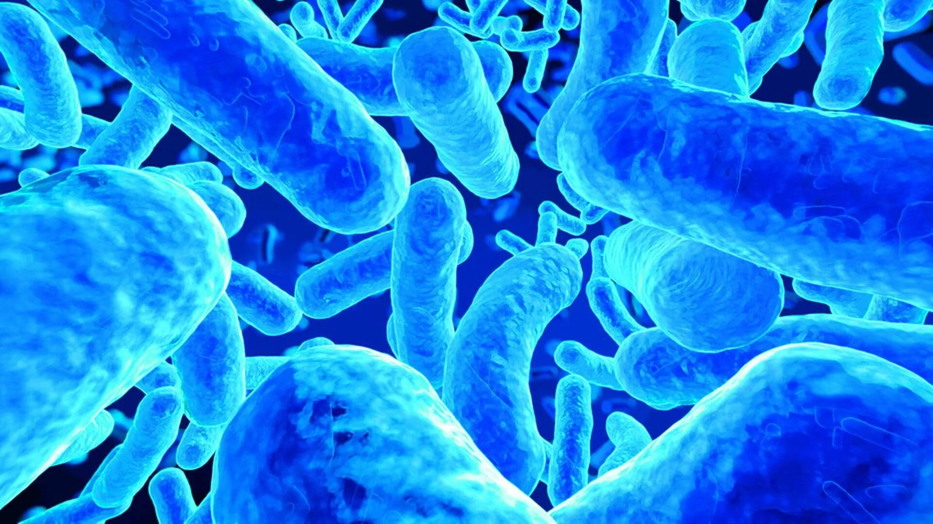 Красивые бактерии. Бактерии фон. Микроорганизмы фон. Синие бактерии. Дизентерия вирусное заболевание
