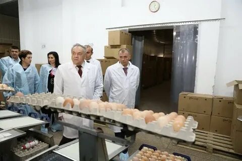 Птицефабрики крыма