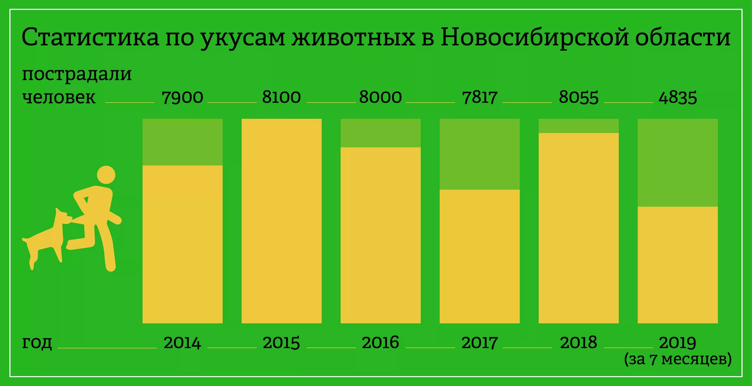 Статистика нападения собак на людей в России. Статистика нападений собак в России. Статистика бездомных животных в России 2021. Нападение бездомных животных статистика. Статистика нападений в россии