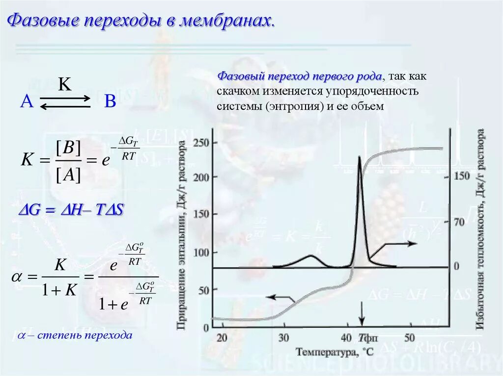 Переходы первого рода. Фазовые превращения 1 рода. Фазовый переход 1 рода. Фазовые переходы. Фазовые переходы мембраны.