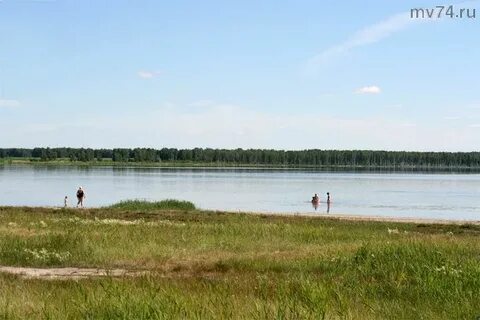Чистое курганская область
