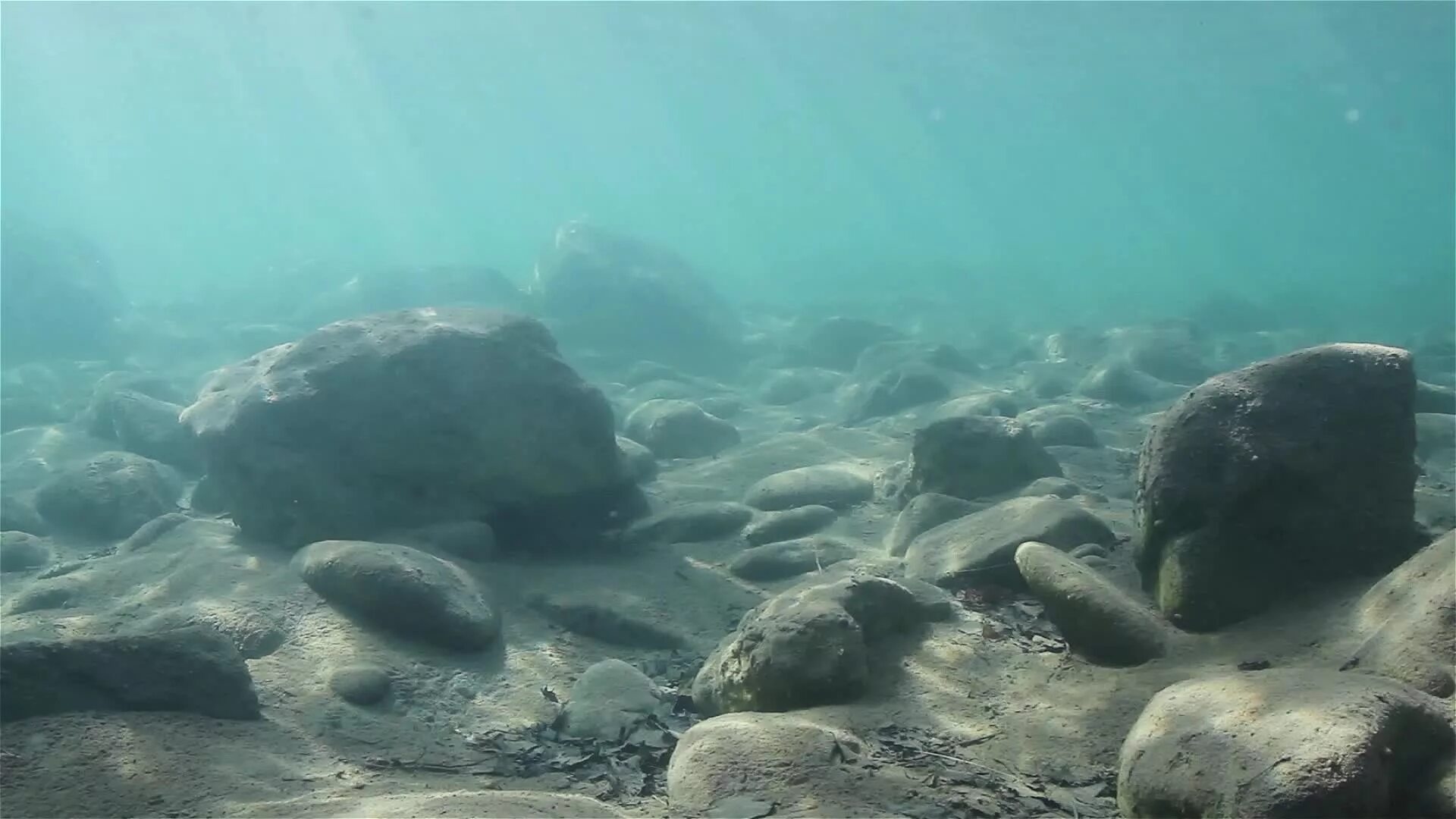 Камни морского дна