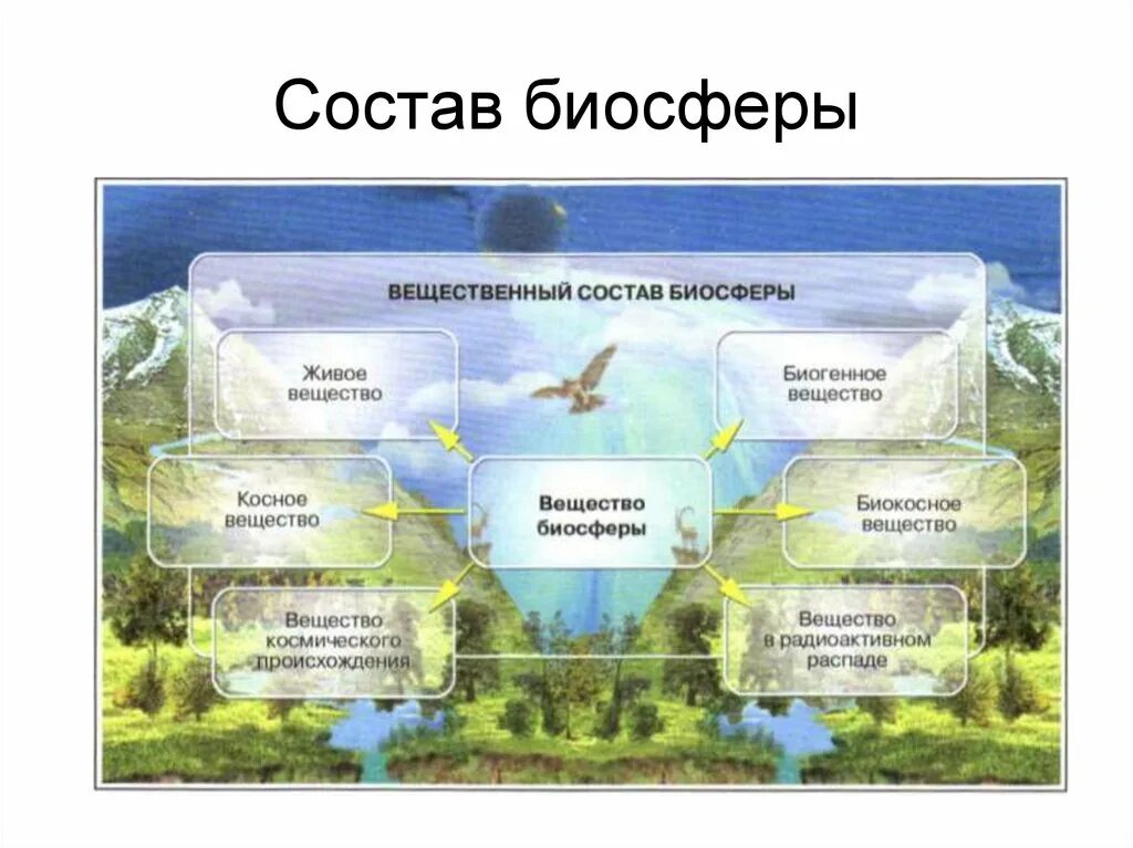 Влияние биосферы на атмосферу примеры. Биосфера схема. Строение биосферы схема. Роль леса в биосфере. Строение биосферы земли.