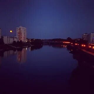 Ночь орел