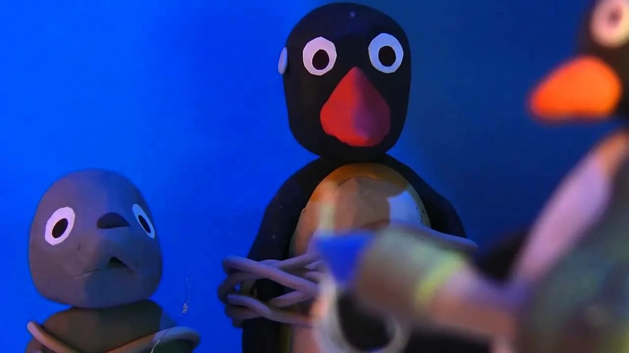 Видео пингу. Pingu 2006. Pingu [Lost Episode]. Пингу шоу.