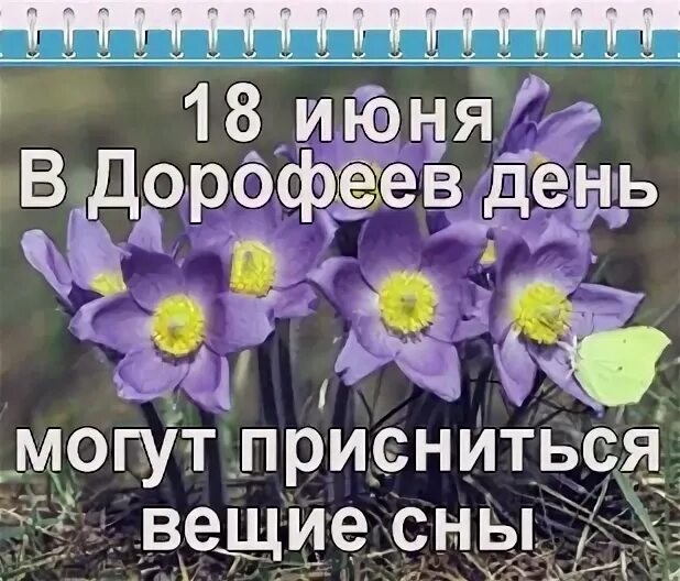 Всемирный день гармонии. День гармонии 18 июня. Международный день пикника 18 июня. Международный день паники.