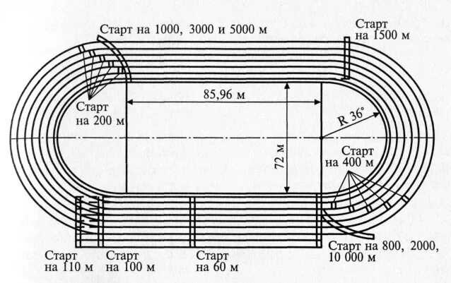 Круговая беговая дорожка 250 м чертеж. Схема легкоатлетического стадиона 400м. Круговая беговая дорожка 250 м чертеж. Спортивное ядро беговая дорожка схема. Площадь каждой из трех беговых дорожек 120.