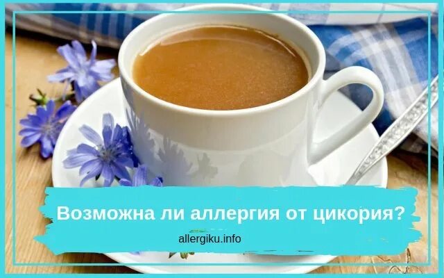 Может ли быть аллергия на цикорий. Цикорий аллерген. реакция на цикорий. цикорий цветок аллергия.