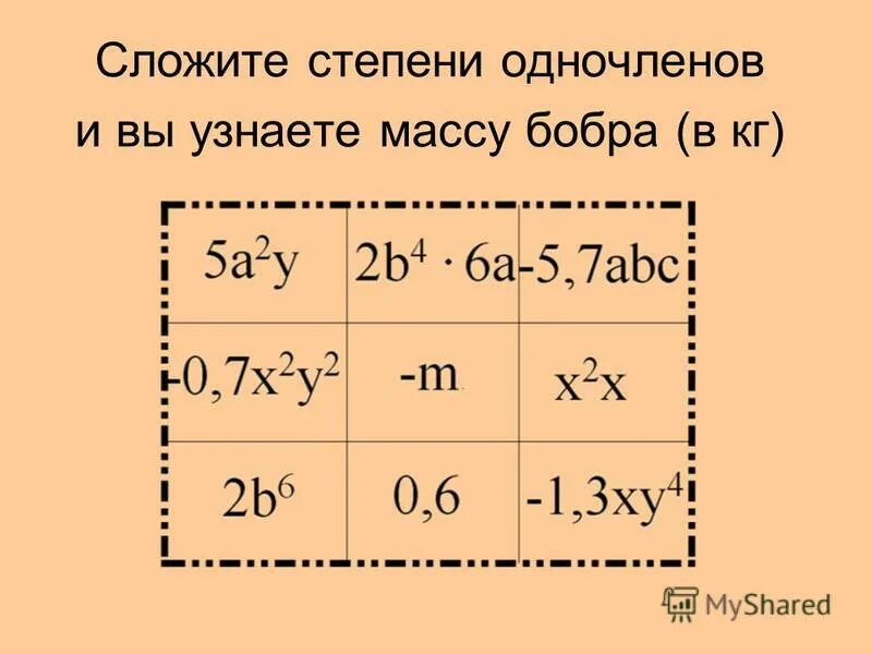 Степень одночлена 9