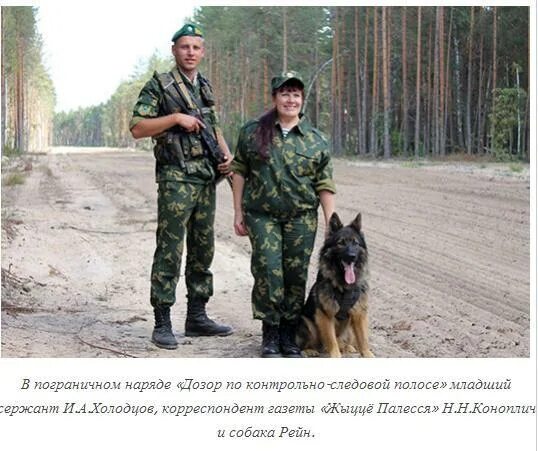 Служба дозор. Погран наряд дозор. Мозырский пограничный отряд. Пограничники в наряде. Пограничный наряд.