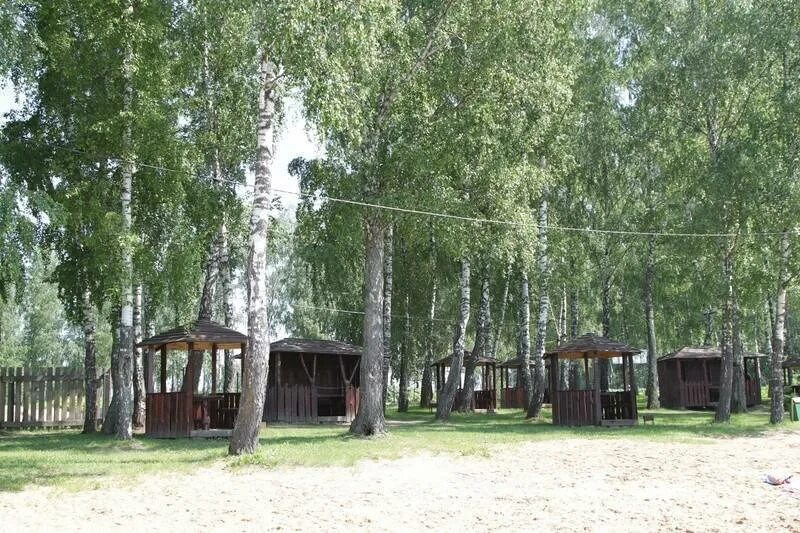 Пляж юсупово река злодейка. Пляж юсупово домодедово платный. Пляж юсупово домодедово платный. Пляж домодедово. Юсупово пляж домодедово.