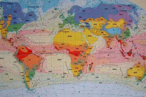 Чим характерний помірний пояс? Його характеристика, особливості та різновиди - K