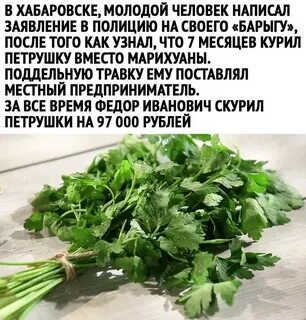 Петрушка инструкция