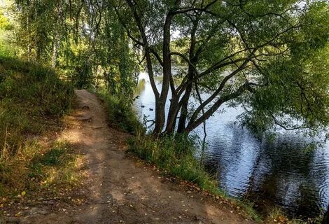 Низовье москва реки